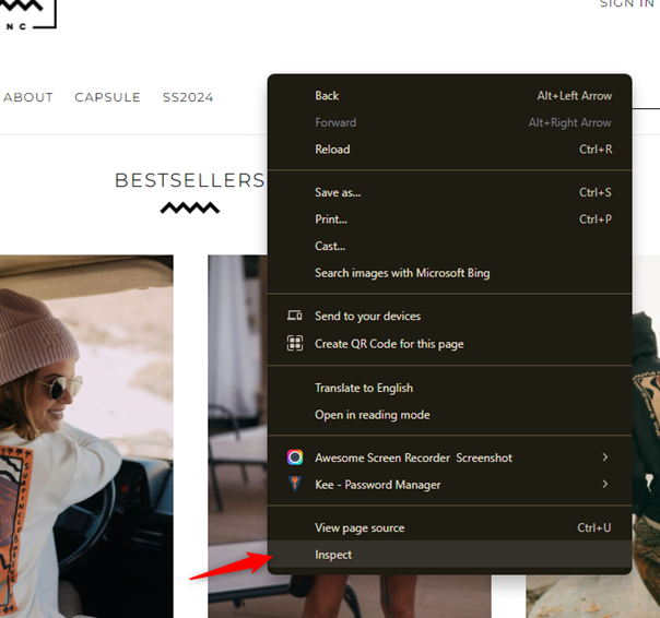 Inspect Element